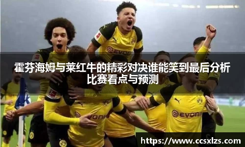 霍芬海姆与莱红牛的精彩对决谁能笑到最后分析比赛看点与预测